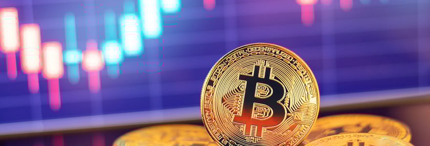 cryptomonnaie